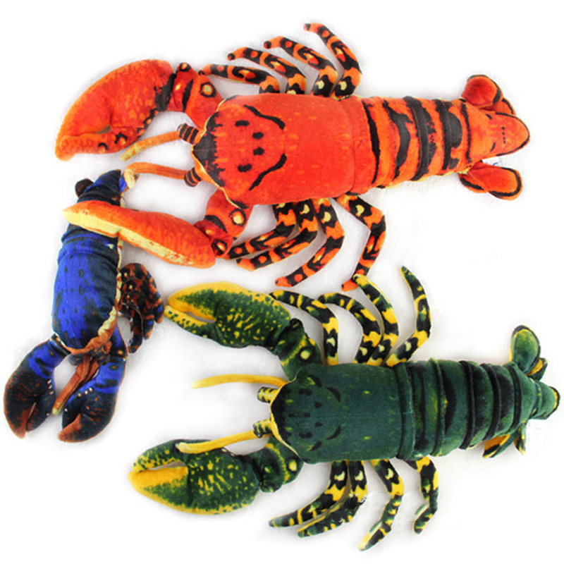 Aquarium Marine Park - จําลองสัตว์กุ้งก้ามกราม Palinuridae กุ้ง Crayfish ธรรมชาติป่า Sea