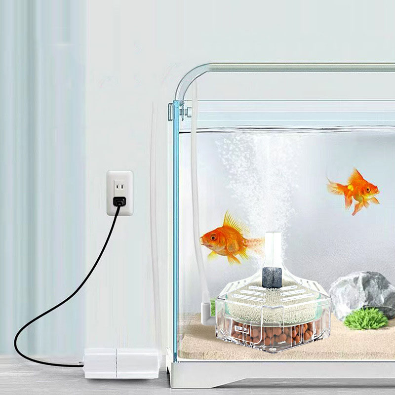 ฟองน้ำกรองชีวภาพใสสำหรับตู้ปลา - Marine Aquarium Bacteria บทวิจารณ์และราคา