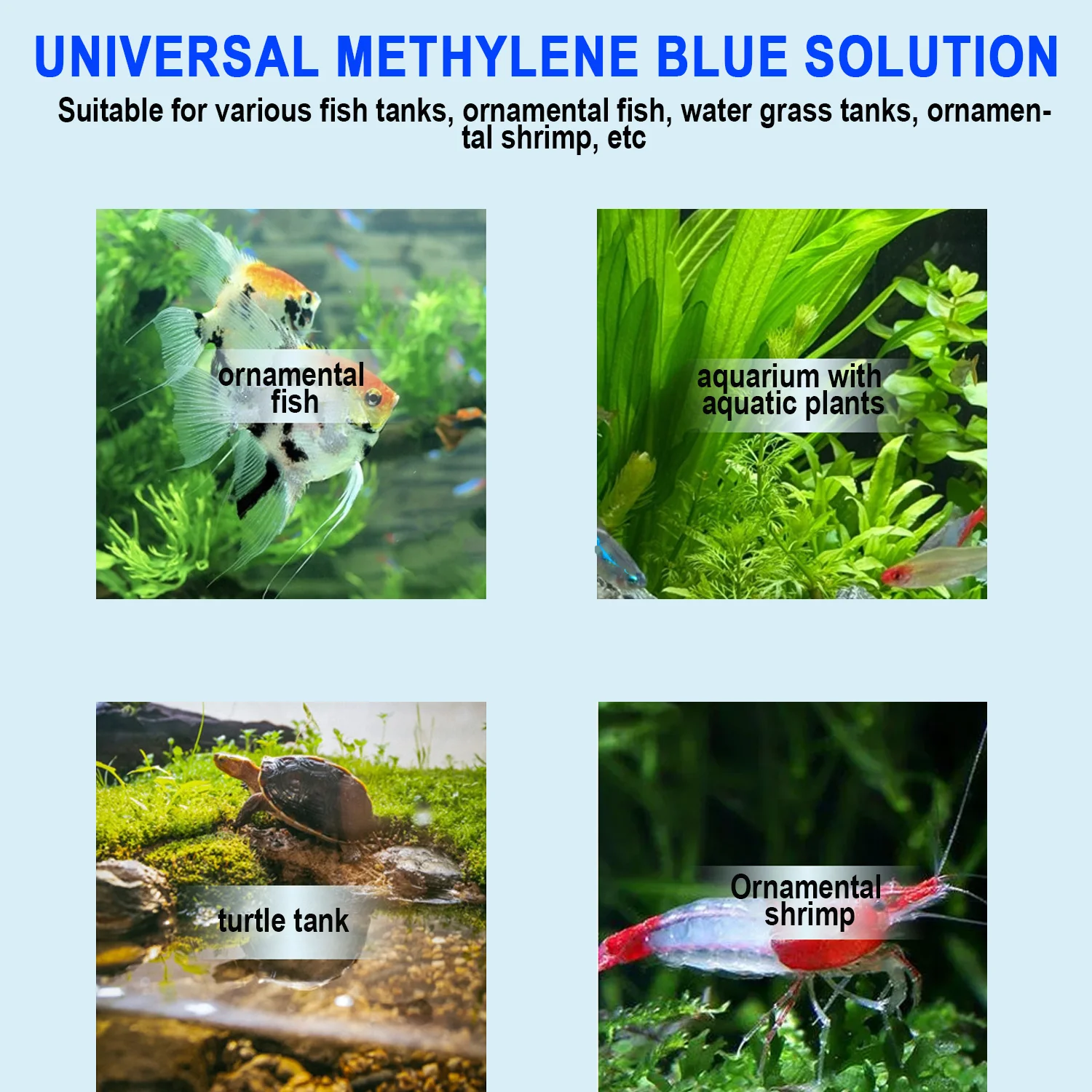 เมทิลีนบลู ยาฆ่าเชื้อโรคในตู้ป - Marine Aquarium Bacteria บทวิจารณ์และราคา