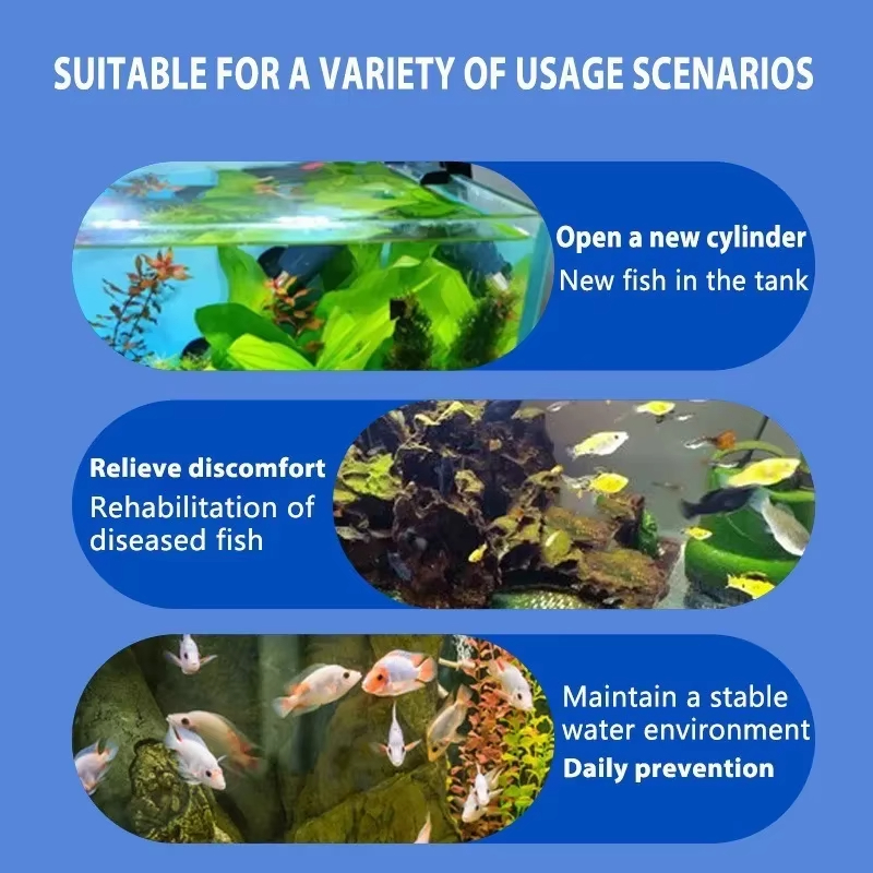 การรักษาโรคปลา SIKEZHAN และแบค - Marine Aquarium Bacteria บทวิจารณ์และราคา