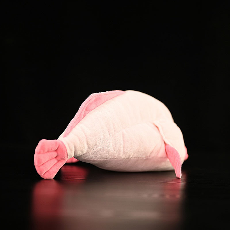 จําลองสัตว์ Blobfish Sea Ocean - Aquarium Marine Park บทวิจารณ์และราคา