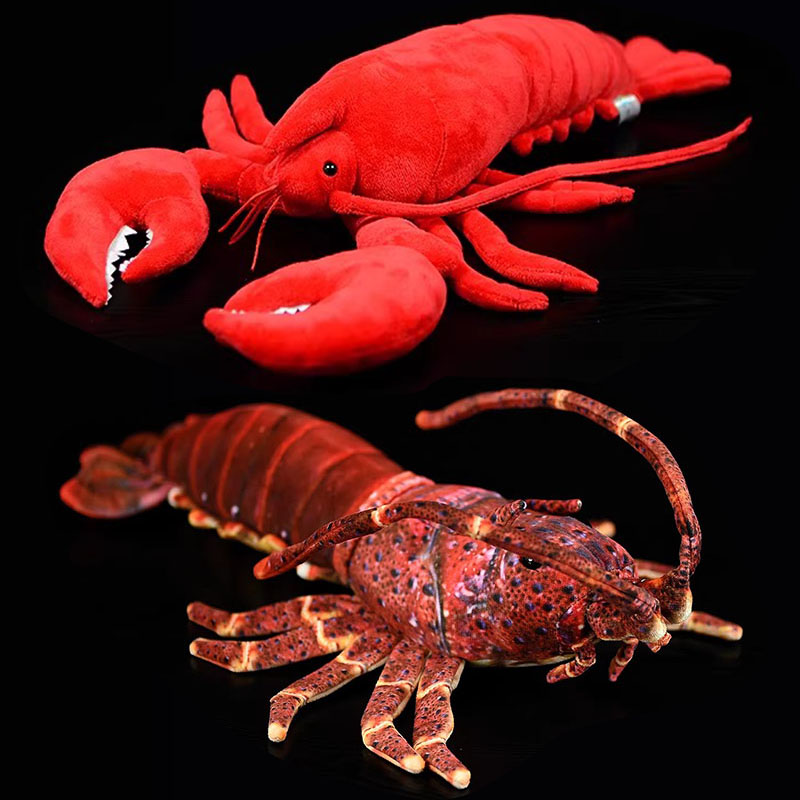 ของเล่นตุ๊กตาจำลองสัตว์ทะเล ปู - Aquarium Marine Park บทวิจารณ์และราคา