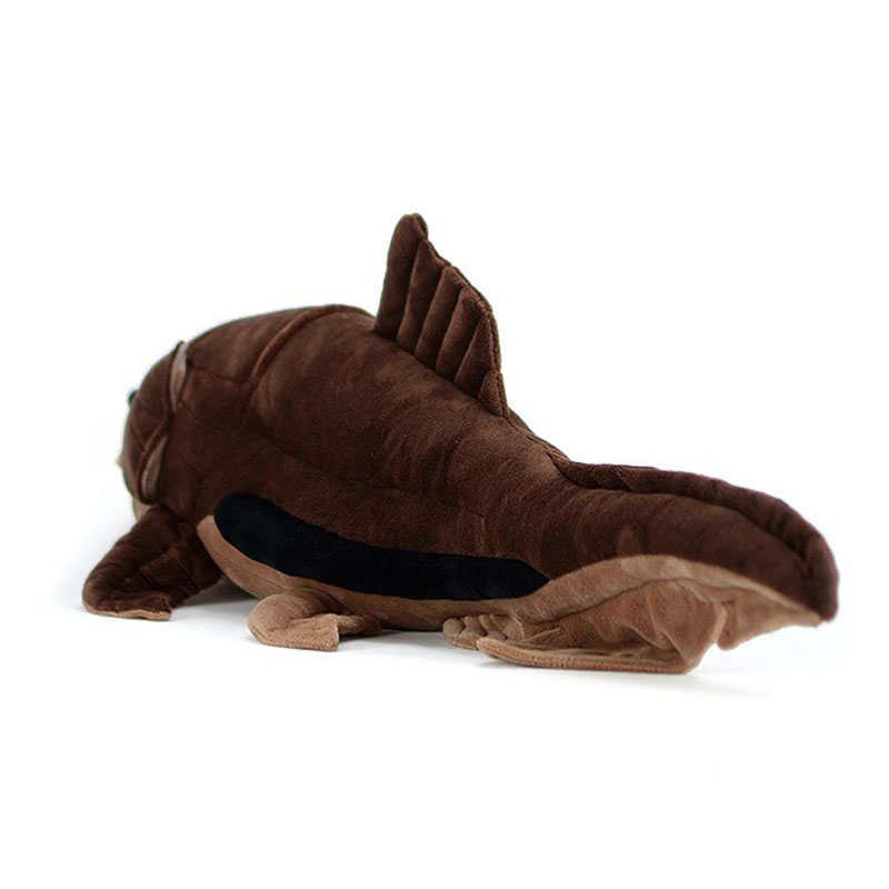 ตุ๊กตาปลาดังก์เลโอสเตียส เทอร์ - Aquarium Marine Park บทวิจารณ์และราคา