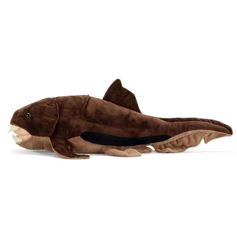 ตุ๊กตาปลาดังก์เลโอสเตียส เทอร์ - Aquarium Marine Park บทวิจารณ์และราคา