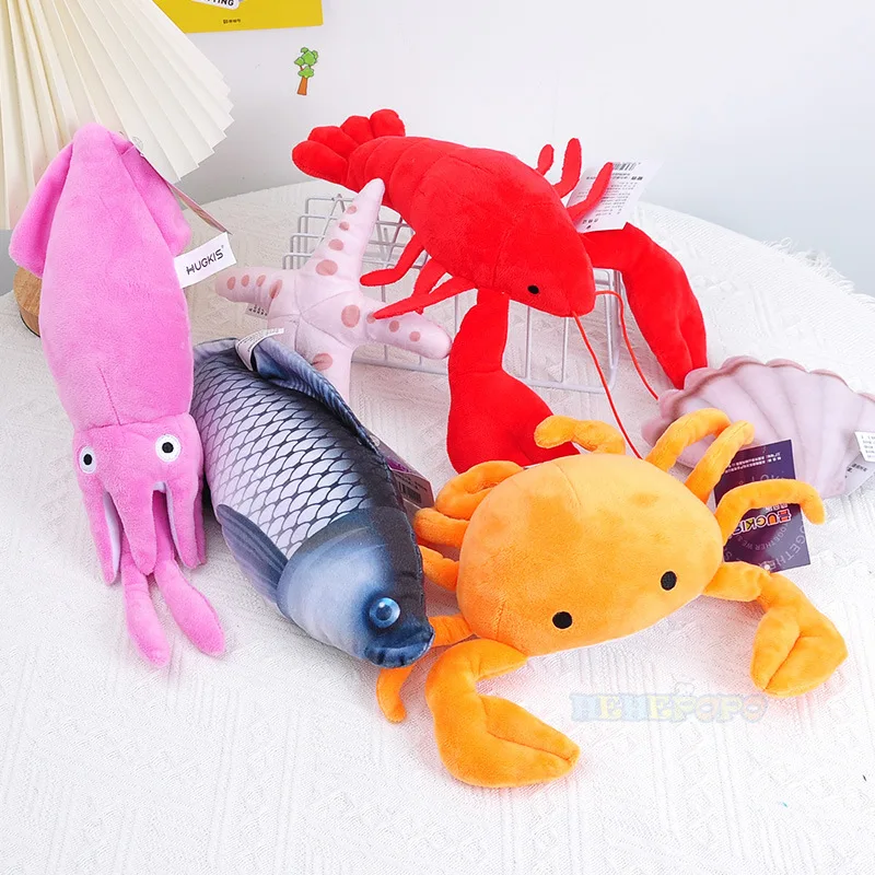 กุ้งก้ามกรามปลาหมึกปูปลาดาว Sc - Aquarium Marine Park บทวิจารณ์และราคา