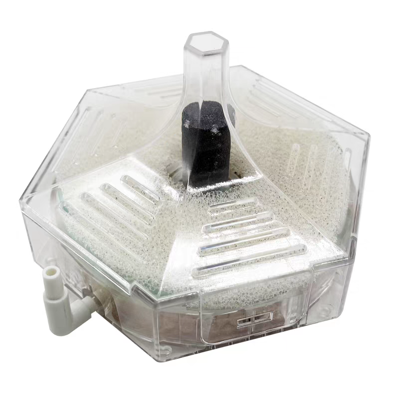รอบบางAquarium Fish Tankกรองโป - Marine Aquarium Bacteria บทวิจารณ์และราคา