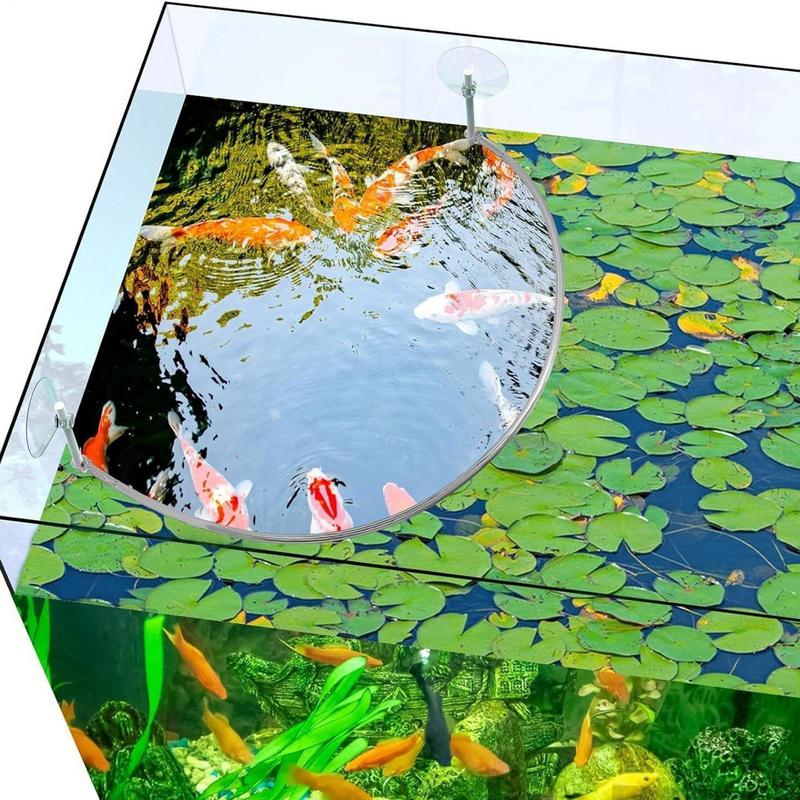 พืชลอย Corral Fish Feeding แหว - Aquarium Marine Filter บทวิจารณ์และราคา